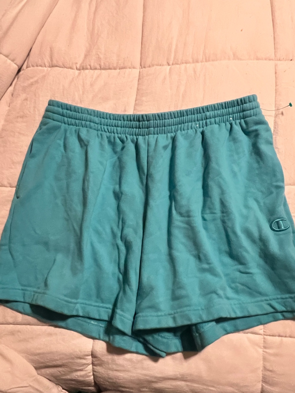 Champion Teal Terrycloth Lounge/gym Shorts size large in EUC